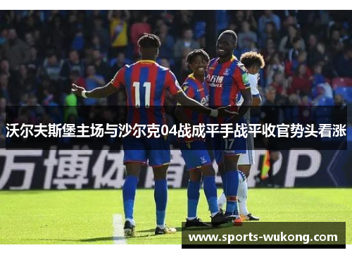 沃尔夫斯堡主场与沙尔克04战成平手战平收官势头看涨